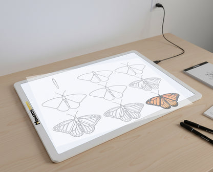 The Midline - Lightboard with Translucent Cutting Mat