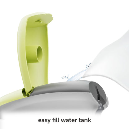 M3Pro Project Steam Iron with Solemate - Pistachio